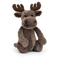 Bashful Marty Moose